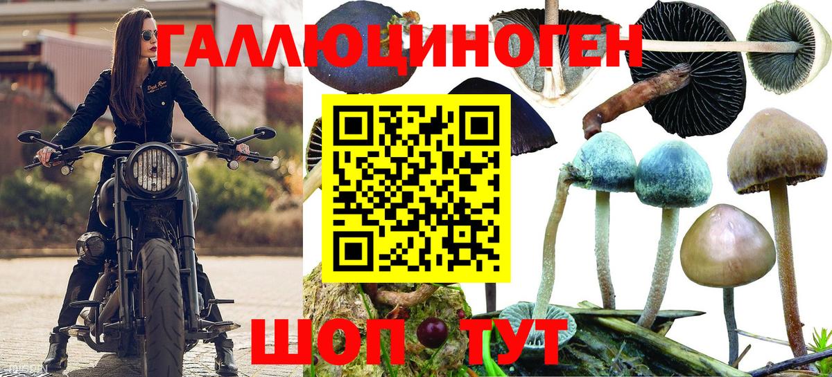 Псилоцибиновые грибы MAGIC MUSHROOMS Тулун