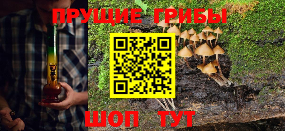 Псилоцибиновые грибы Cubensis  Вход с VPN  Галлюциногенные грибы GOLDEN TEACHER  Тулун 